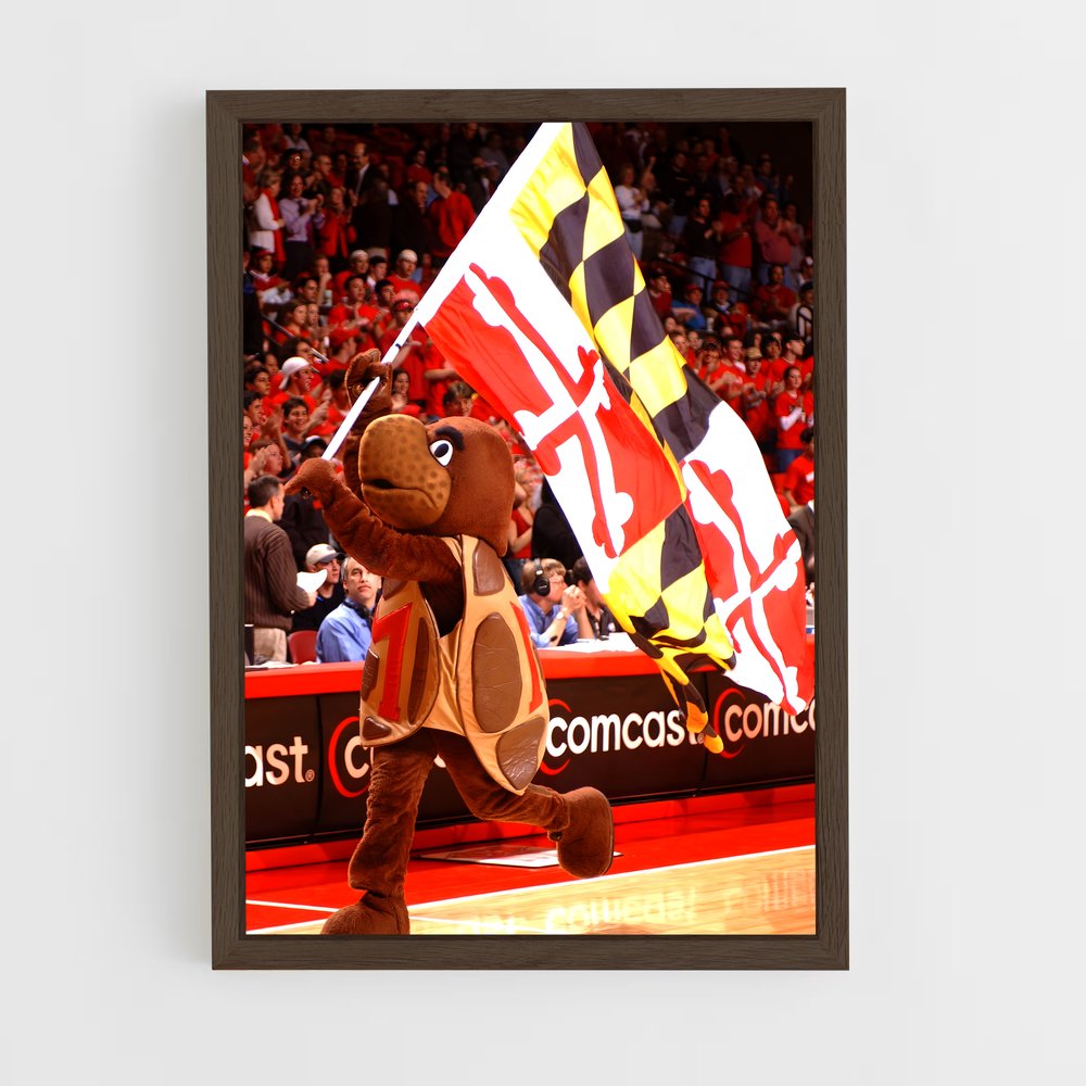 Poster Terps Dunk – affiche Basketball (vue 5)